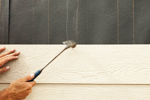 Best Vinyl Siding Installation  in Hayden, ID